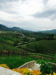 wine and food tour in Venice - Wed in Colour