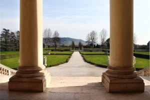 Cordellina_location-marryville